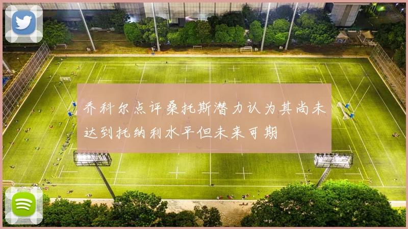 乔科尔点评桑托斯潜力认为其尚未达到托纳利水平但未来可期